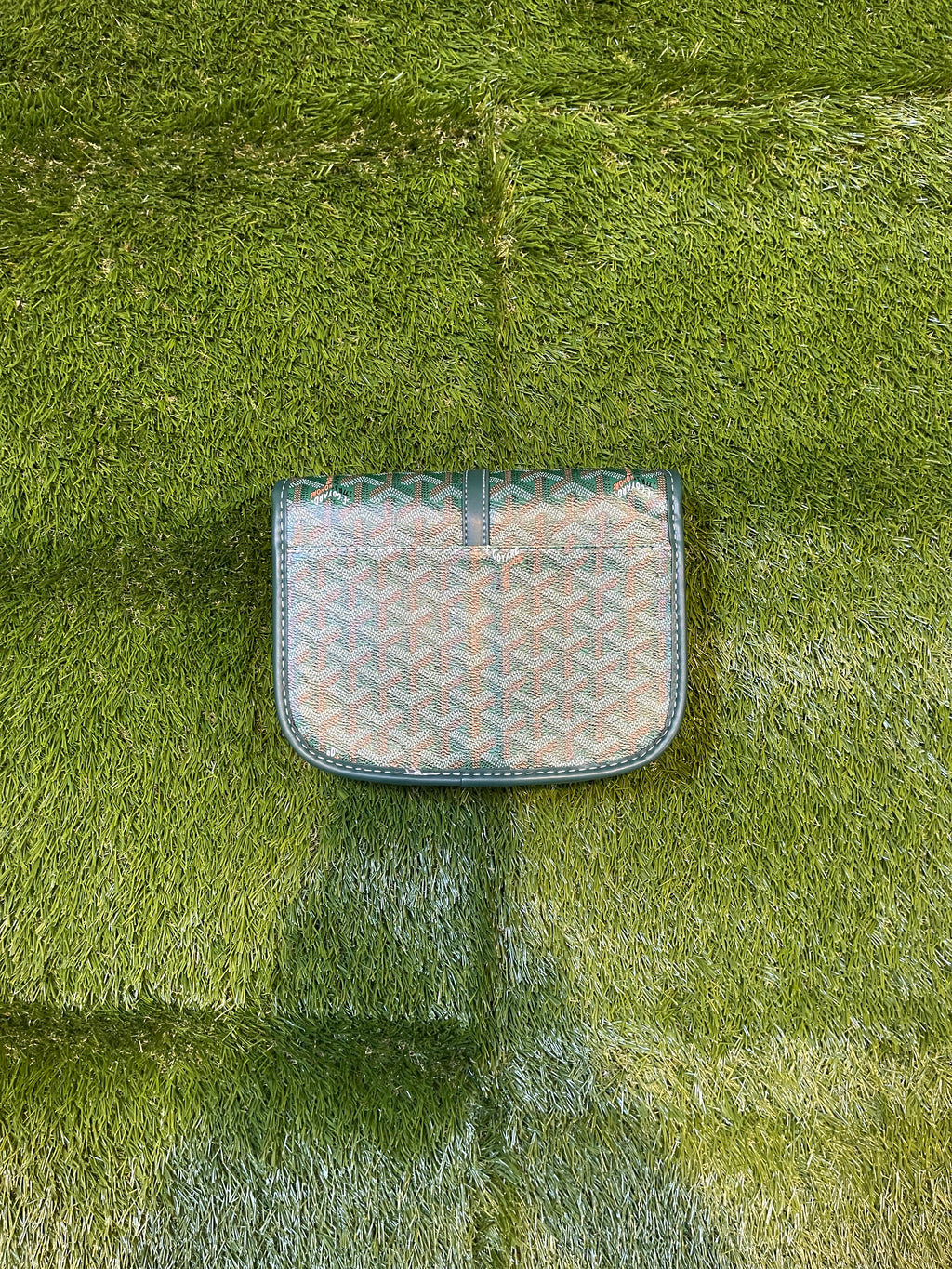 Goyard Bag