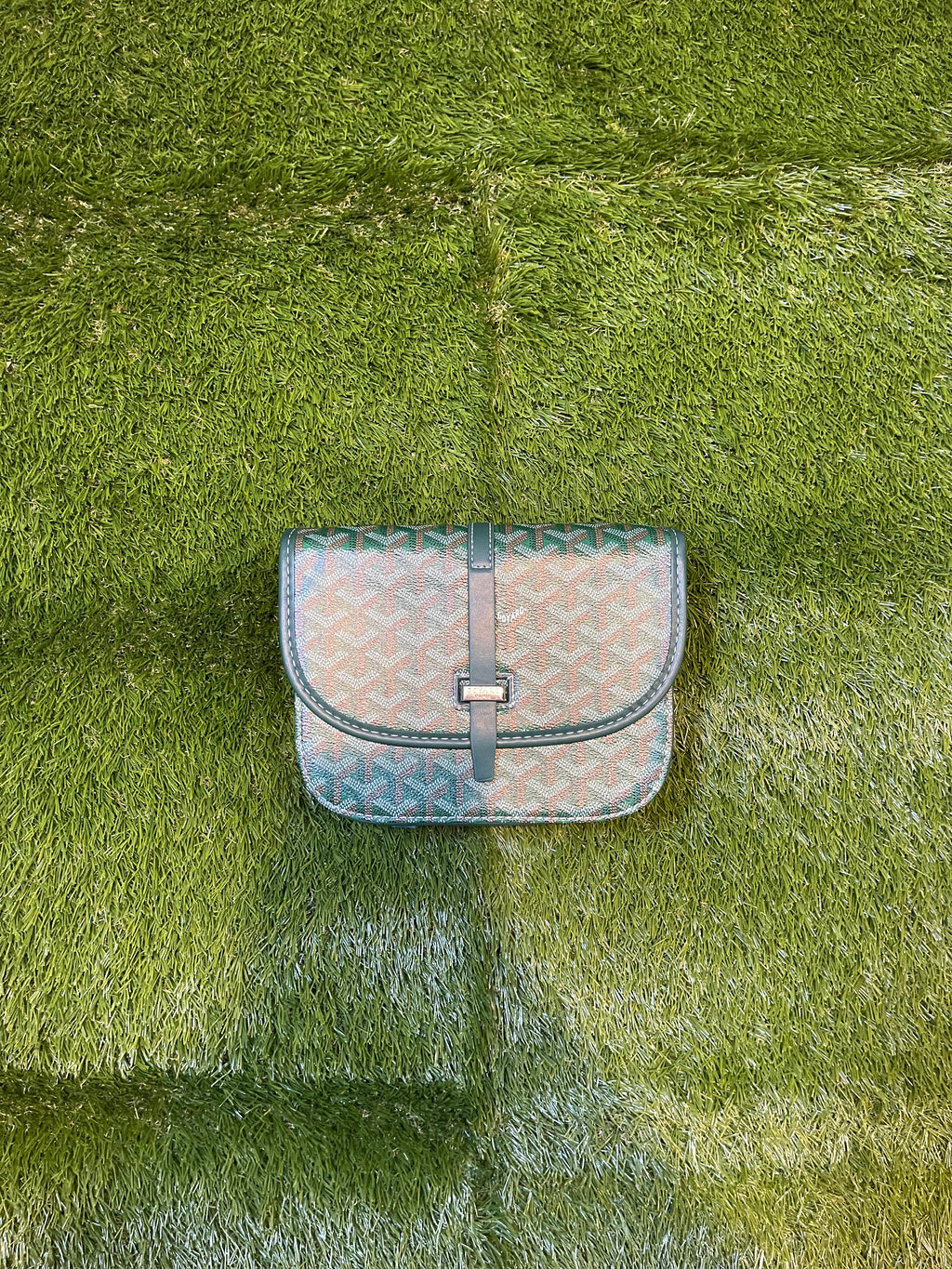 Goyard Bag